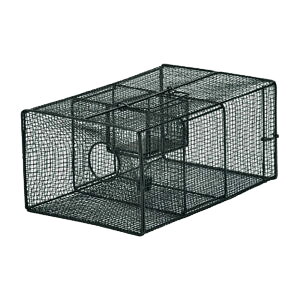 hqY lY~߂ A^Cv102 NZ-2 hdグ ncJlY~ ˂ l ˂ݎ  O   d| gbv