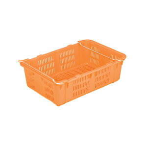 򕌃vX`bN Xei[ vXPbg No.480 t IW [Rei [{bNX Rei{bNX  n _ ƒ؉