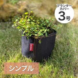 J{EvX DENI|bg 3 DXPOTX3 AؔJo[ ||bgJo[ fjAؔJo[ fjJo[ JCnfj