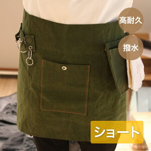 J{EvX K[fjOGv V[g GEXS |Gv |ƃGv