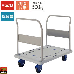  L[ NP-300 nhL ύډ׏d300kg  LX^[t ᑛ Â y RpNg 艟 ^ q  Ɩp X  ItBX r  { 