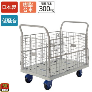  ÃL[ NP-300 ԕtL ύډ׏d300kg JSt  LX^[t bV ᑛ Â y RpNg 艟 ^ q  Ɩp X  ItBX r  {