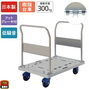  L[ NP-300 nhL tbgu[Lt ύډ׏d300kg  LX^[t ᑛ Â y RpNg 艟 ^ q  Ɩp X  ItBX r 