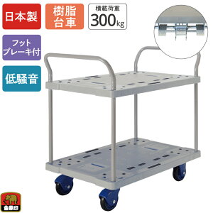  L[ NP-300 2i tbgu[Lt ύډ׏d300kg  2i LX^[t ᑛ Â y RpNg 艟 ^ q  Ɩp X  ItBX r 