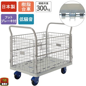  ÃL[ NP-300 ԕtL tbgu[Lt ύډ׏d300kg JSt  LX^[t bV ᑛ Â y RpNg 艟 ^ q  Ɩp X  ItB