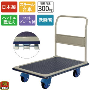 y100ImxeBv[gz  ÃL[ NS-300STL tbgu[Lt ύډ׏d300kg nhŒ莮 X`[ LX^[t Â ᑛ y RpNg 艟 ^ 
