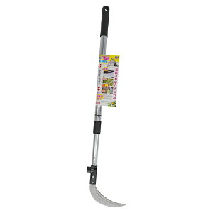 FG yʐLkώXe\gn APt  󍁍H 195070