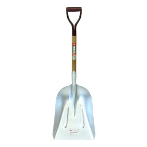  A~XRbv W{ A 󍁍H {  Ⴉ {Y XRbv y  y A~ Xm[Vx 傫