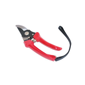 FG p ؉ FG-S100R ΂ nT~ |΂ } | K[fjO _   _ _ ƒ؉ A  󍁍H