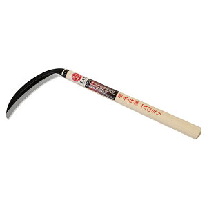 󒷋v |t 180mm 芙  n J}    G _ | K[fjO ƒ؉    c 󍁍H