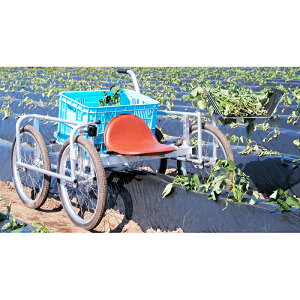 nbNX iGbR pAtƎ NKS-1100 GA[^C