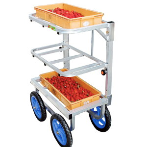 nbNX ؍ npS 3i^Cv SW-312 m[pN^C