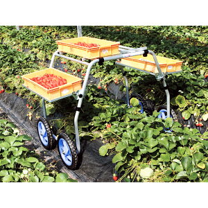 nbNX yY A~ np ^C90`120cm RA-612 m[pN^C