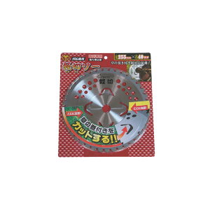 u[h y؃\[ VAK^ 255×40 BP `bv\[ @ 蕥@ p[c  G