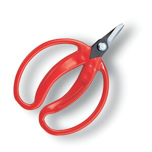 AX ̎  430 ΂  oT~ ͂ nT~  | K[fjO  ʕ  E ̉ ̏W