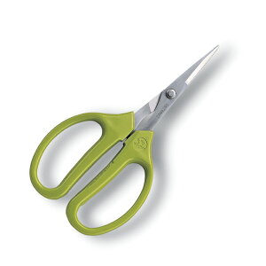 AX V[vNtg n 330S-T ͂ nT~  pr vf d zr[ Ntg | H | K[fjO  ʕ  z   t[AWg DIY