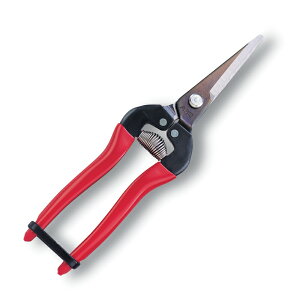 AX EO 300L-BP ΂  oT~ ͂ nT~  | K[fjO  ʕ  E ̉ ̏W