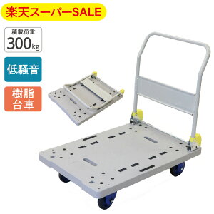 yyVX[p[SALEz ÃL[ NP-300DXL ύډ׏d300kg ܂肽ݎ  LX^[t Â ᑛ y RpNg 艟 ^ q  z ƒp Ɩp X 