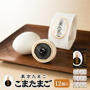 東京 お土産【東京駅倉庫出荷】【冷蔵商品】銀座たまや 東京たまご ごまたまご12個入おみやげ 東京 土産 東京みやげ 和菓子 和洋菓子 お菓子 スイーツ お中元 お歳暮 御歳暮 内祝い お取り寄せ ギフト プレゼント のし可
