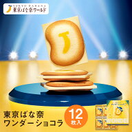 東京 お土産 【東京駅倉庫出荷】【冷蔵商品】 東京ばな奈ワンダーショコラ 12枚入 東京みやげ 東京バナナ…