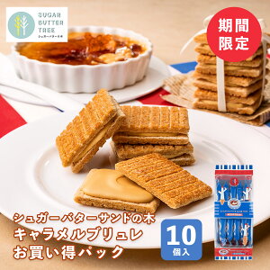 Ԍ  yYywqɏoׁzy퉷E①izVK[o^[Th̖؃LupbN@10yY w mَq Lu Ε j