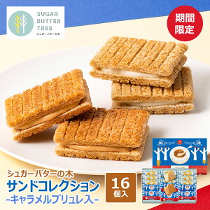 Ԍ  yYywqɏoׁzy퉷E①izVK[o^[̖؃ThRNV(Lu)@16yY w mَq Ε j Mtg ̂