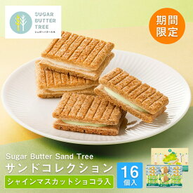 期間限定 東京 お土産 【東京駅倉庫出荷】【常温・冷蔵商品】シュガーバターの木　サンドコレクション(シャインマスカットショコラ入) 16個入 東京土産 東京駅 洋菓子 お歳暮 お祝い ギフト のし可