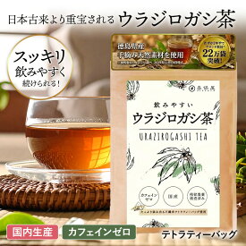 喜保屋 飲みやすい ウラジロガシ茶 3g × 14包【 国産 無農薬 】 ティーバッグ 水出し可能 ノンカフェイン 国内製造 農薬残留検査実施済み