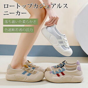 [JbgXj[J[ JWA fB[X  JWAV[Y Xj[J[ fB[X ꂢ Xb| fB[X y b L O lԍHw r L y 