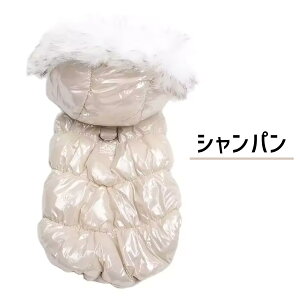    Cg_E _ExXg _EWPbg t[h p[J[ {^ n[lX DO