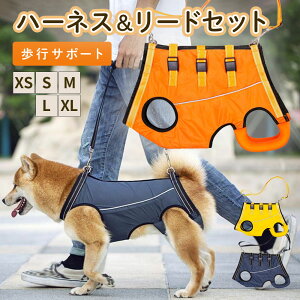  pn[lX pn[lX V   s⏕ pi ^ 둫 T|[gpi ybg ^ ^