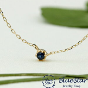 1Tt@ClbNX 9̒a BlueStar