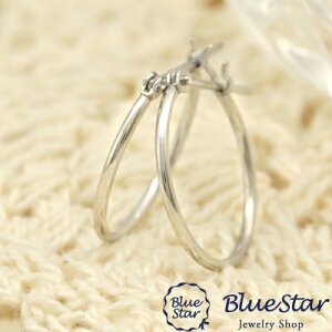 t[vsAX@1mm×15mm@VvnsAX Pt900@v`i @BlueStar