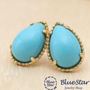 `̃gR΂̕\VvɊy߂sAX K18YG@fB[X@BlueStar