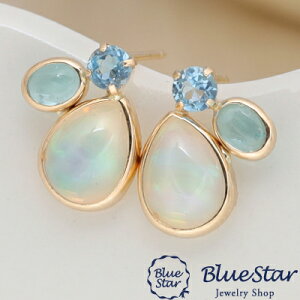 u[̃Ap^CgEu[gp[YɃIp[ȃsAX K10YG@BlueStar