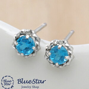 VvɏiȃX^bhsAXAp^Cg̐Fl̂ BlueStary3.0mmzlIu[Ap^Cg̃VvX^bhsAX Pt900
