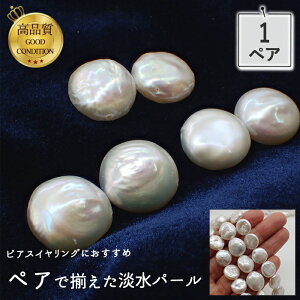 20%ItN[| 48Ԍ聚i Wp[ r[Y RC obN 12mm 1yAi2j i p[c nhCh