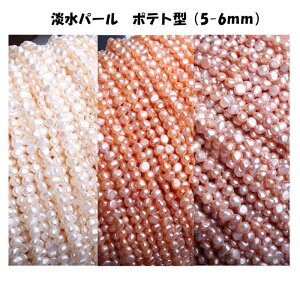 �y113�z�W���p�[��( �|�e�g) DIY �������� 1�A �p�[�� �p���[�X�g�[�� �V�R�� �r�[�Y �p�[�c