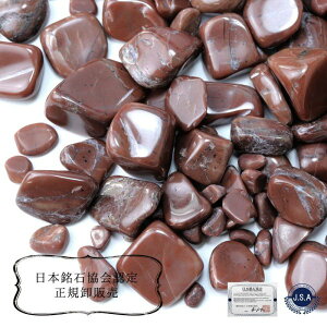 P5{MAX20%ItN[|y{΁z@kCԐ΁@qkCr@100g@pbP[Wt@@@n@Z[ΏۊO