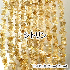 P5{MAX20%ItN[|yizy40cm AzyVgzTCY5*12mm VR r[Y `bv nhCh 