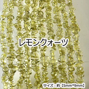 P5{MAX20%ItN[|yizy40cm AzyNH[czTCY5*9mm VR r[Y `bv nhCh 