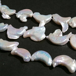 y267. Wp[ obN O r[Y 1 z  [ zCg [X W^ 