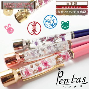 Pentas iyCXgX^vzyЃIWiiz yr[N[|Ώہz ӕtn[oE{[y n[oE y[֑z Mtg Y  ̓ 