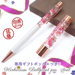 󑊑̑Ή y[֑z̓ n[oE{[yӃZbgyt{[Yz(iMtgt)(XIWii) yr[N[|Ώہzn[oE 