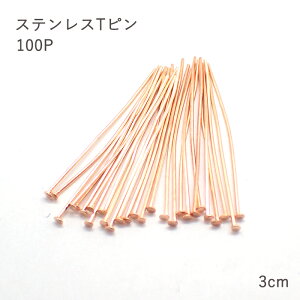 yCPzTs T[WJXeX AM[Ή bp[cyTsE3cmzy100{zXeX AM[Ή sNS[h Ts  sAX nhCh DIY 