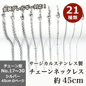 T[WJXeX AM[Ή lbNX`F[ ty45cm Vo[zNo.17`30̃y[W SUS316 ×pXeX lbNX 약 AYL  AM[t[ nh