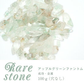 【2021新作 レアさざれ石 【44】アップルグリーンファントム (穴なし) 【100g】 天然石 パワーストーン さざれ パーツ レジンクラフト ハンドメイド DIY 自社管理 DIY 国内発送　★セール対象外★
