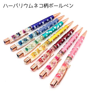 10%ItN[| 11/1܂Łn[oElR@{[yyiz sNS[h@MtgAP[Xt