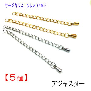 20%ItN[| 48Ԍ聚yCPz yT[WJXeX 316 z AWX^[ 5 nhCh p[c ߋ  ANZT[