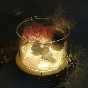 10%ItN[| 11/1܂ŁV[ fBXvCp ؐ LEDCg Zbg  Ɩ dF USBڑ nhCh 